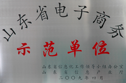 集团被评定为“山东省电子商务示范单位”