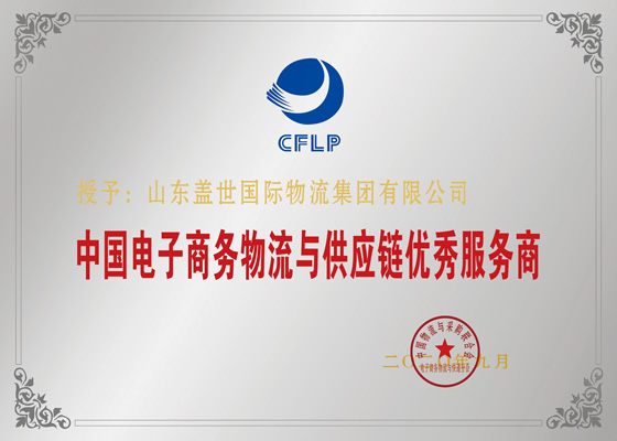 中国电子商务物流与供应链优秀服务商