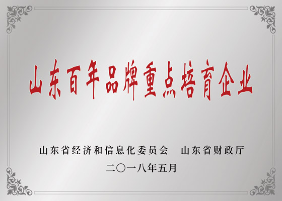 山东省百年品牌重点培育企业