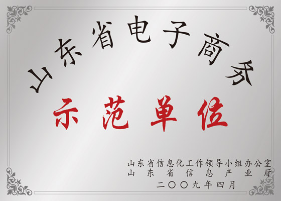 山东省电子商务示范单位
